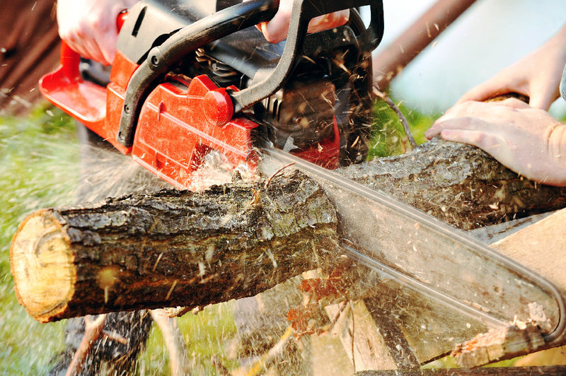 Bäume fällen oder Kaminholz sägen: Kettensägen erleichtern die Arbeit