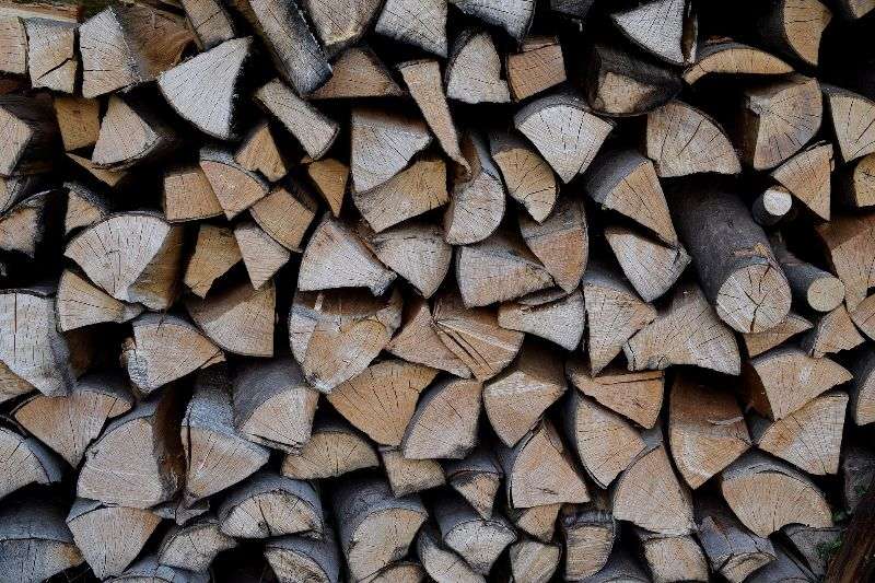 Das richtige Holz für Ihren Kamin