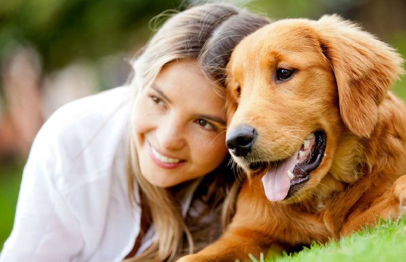 Hundehaftpflicht - optimaler Schutz für Hundehalter