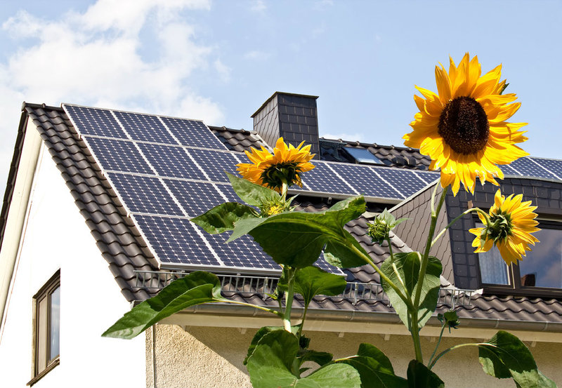 Photovoltaik: Wir sagen Ihnen, was Sie darüber wissen sollten