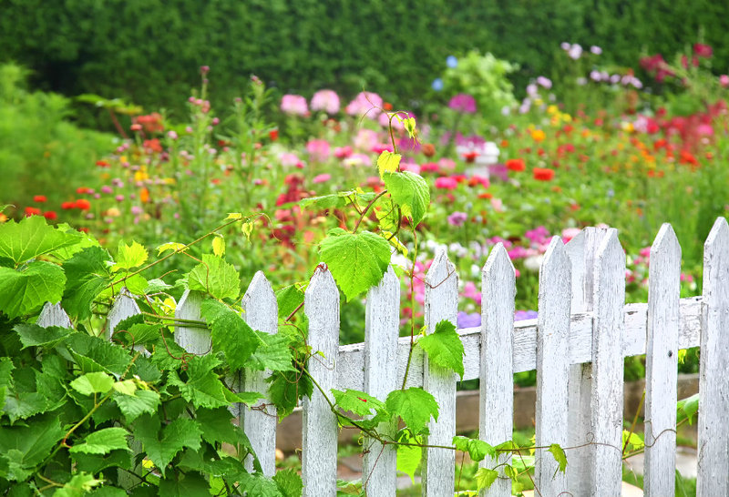 So finden Sie passende Gartenzäune für Ihr Grundstück