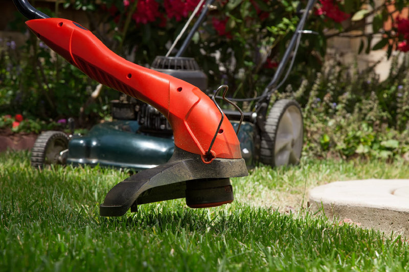 Gartenarbeiten im März - Mehr zur Pflege von Rasen und Rosen