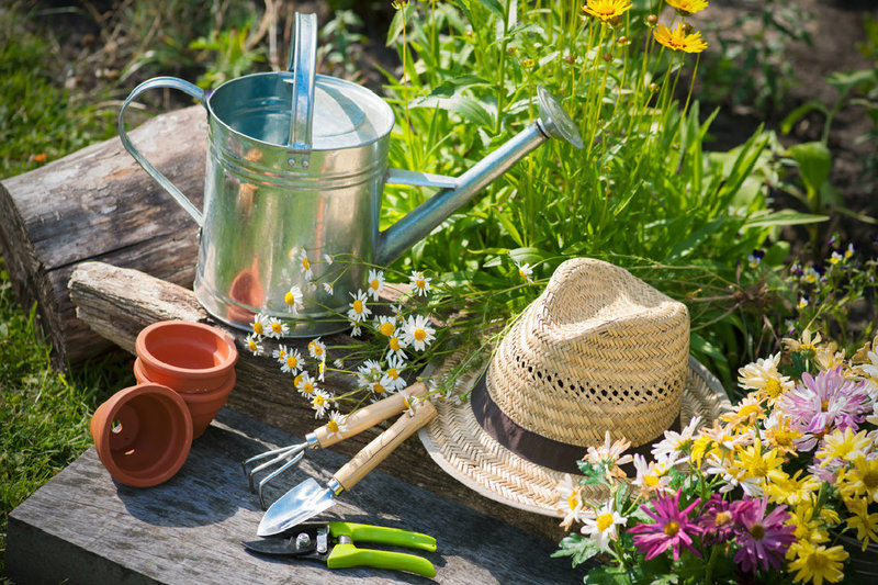 Gartenarbeiten im August