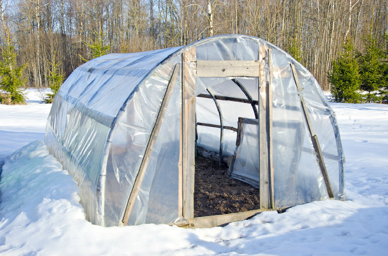 Gartentipps für den Februar