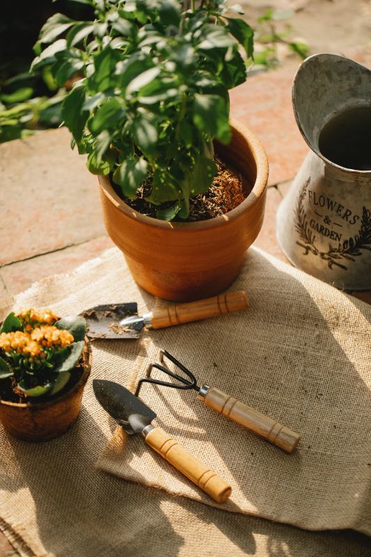 Die wichtigsten Geräte für Ihren Garten im Sommer!